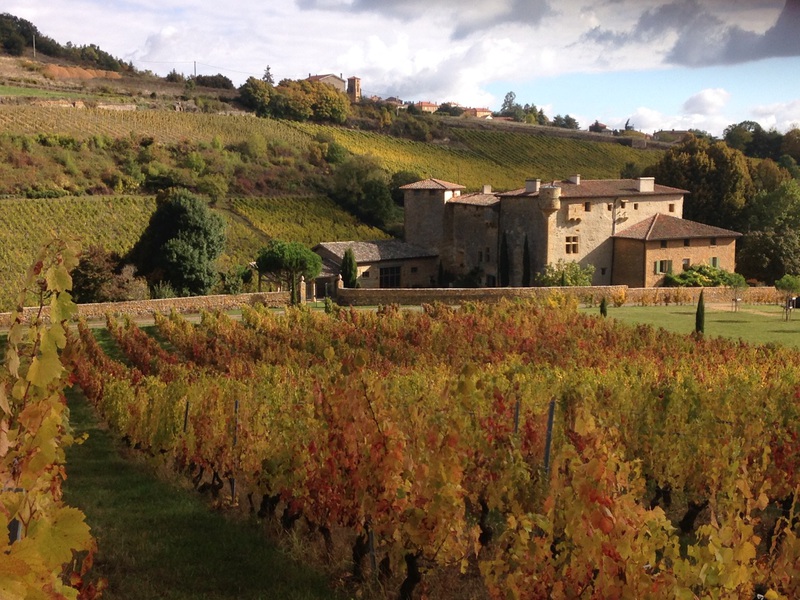Rangs de vignes devant un bâtiment de pierre